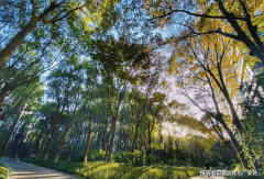 申请书、小我住房告贷合同、告贷欠据、委托银