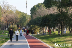 营制的野趣盎然和沉浸